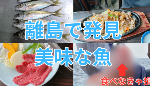 壱岐島釣り旅行！９月中旬に釣れた魚とは？