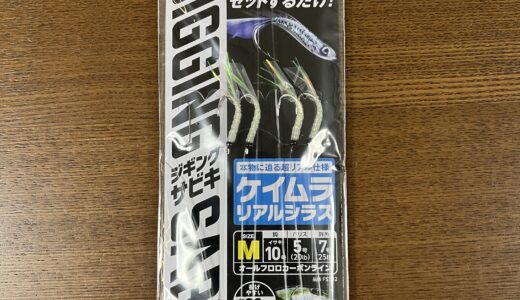 【インプレ】ハヤブサの堤防ジギングサビキEXでまさかの青物が釣れてしまう