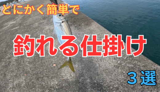 【海釣り】釣りを初めてやる人にオススメの道具と釣り方