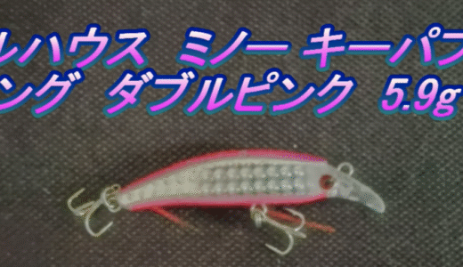 【インプレ】キー・パプースでカマスは本当に釣れるのか？