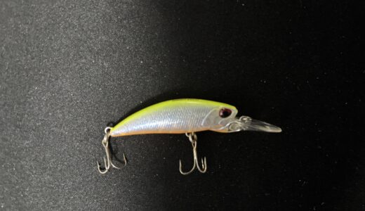 【インプレ】DUO テトラワークス トトシャッドのおかげでキビレが釣れた！