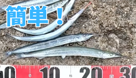 サビキ釣りでサヨリが釣れるのか検証してみた